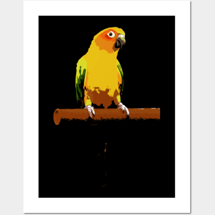 Sun Conure Vector Posters and Art